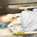 계류유산 증상 검사 관리 후기
