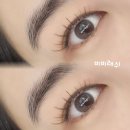 비비래쉬 이미지