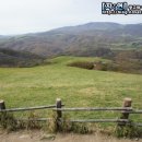 대림목장 이미지