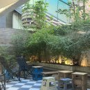 효령로67길 71-18 (2) | 챔프커피H.Q 서초 방문 후기 내돈내산! 반려동물 동반, 서초동 카페, 남부터미널역 카페