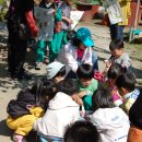 서촌초교 병설유치원 이미지