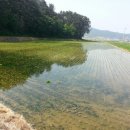 시골길펜션 이미지