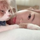 끌리지오
