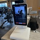 머슬팩토리24 고성점 이미지