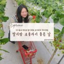 경기 용인 딸기랑 소풍가기 좋은 날 서울 근교 딸기체험 딸기농장