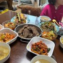 효진동물병원 | 2월 3주