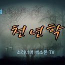 김용임, 전유진 천년학 이미지