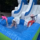 숲속반디유치원 이미지