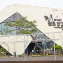 춘천명종닭갈비&교동면옥 이미지