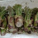 화악농장 이미지