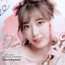 사쿠라(SAKURA) 이미지