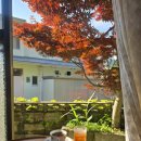 코지하우스민박 이미지