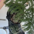 경은유치원 | 내 꿈은 모래투성이