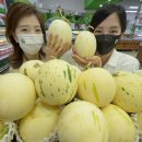 백자로 L 이미지