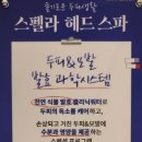(주)스펠라