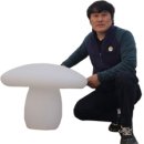 법인양송이유
