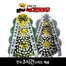 강릉아나병원장례식장 이미지