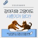 석수동물병원 | 강아지와 고양이도 사춘기가 있다?_[동물행동의학 전문 안양시 만안구 김준동물병원]