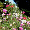 봄여름가을이야기 이미지