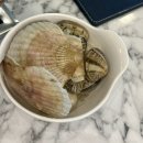 지오타워 | 강남역맛집 샤브샤브 편백찜이 맛있는 샤브지오 강남역점 후기