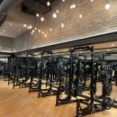 자마이카피트니스 | 고급 기구 성지 강남 헬스 자마이카 피트니스 후기