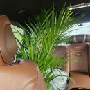 이레가든 | 김포 식물 사기 좋은 [이레가든빌리지]