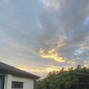 하늘고래블루 이미지