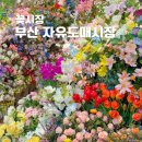 자유도매 | 부산 범일꽃시장 자유도매시장 꽃다발 졸업식 입학식