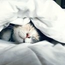 행정사법인 로이드 이미지