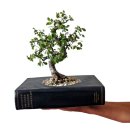 알라딘샵 이미지