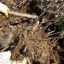 말로건재 이미지