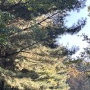 헬리녹스남산