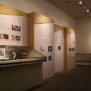 서울대학교병원 의학박물관 이미지