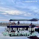 [코타키나발루 여행] 봉가완 투어로 만난 반딧불·몽키섬·선셋비치 솔직 리뷰! 온세상 별이 여기 다있음⭐️
