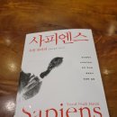 노아네프 이미지