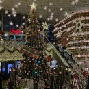 청유탕 | 나도 드디어 하이디라오 가봤다! 첨가본 사람의 아주 주관적인 후기