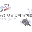 우체통찰보리칼국수 이미지