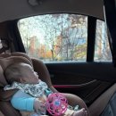 프로파크 | 대구베이비파크 신생아 브라이텍스듀얼 픽스 프로 카시트 후기