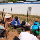 (주)청아환경 이미지