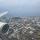 한림내과의원 | 제주도 한달살이(1주차 260401~260405)