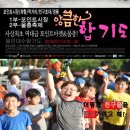 용인대 수 합기도 이미지