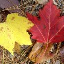 그림자호수 이미지