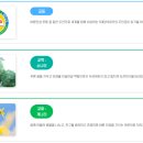 다산초등학교 이미지