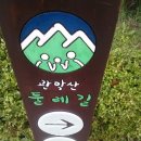 새벽우