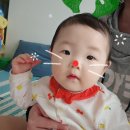 청년피자 김해장유점 네이버블로그
