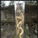 대지로4L 이미지