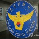 분당분당-A-21 이미지