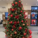 의왕시청 | 📍 투썸플레이스 의왕시청점 방문 후기