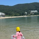 베리블라썸펜션