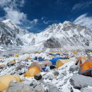 CW-1248-01 이미지